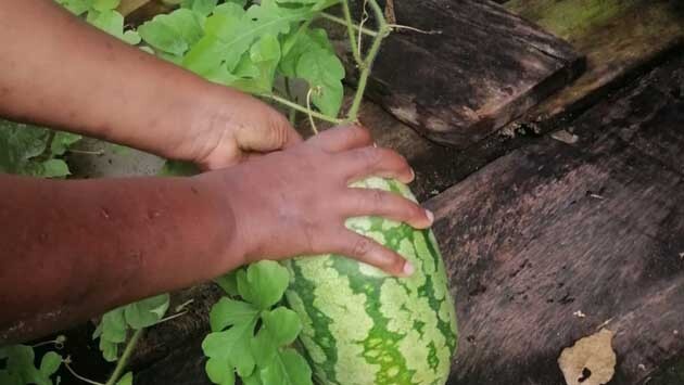 COLOMBIA_FAMILIAS VULNERABLES1.jpg